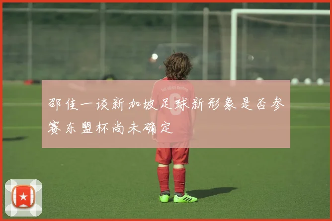 邵佳一谈新加坡足球新形象是否参赛东盟杯尚未确定